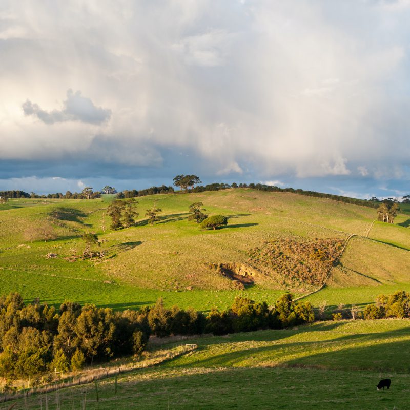 Farming Land